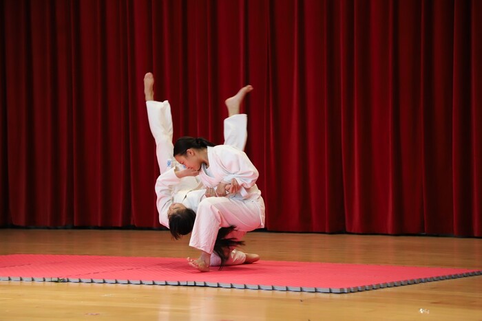 恩聖武道館表演3圖片