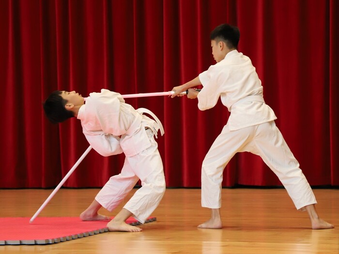 恩聖武道館表演6圖片